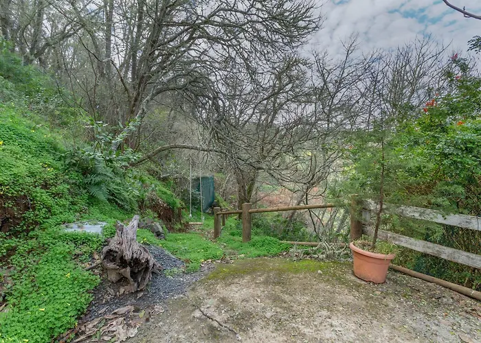 Toscana Di Corvo * Moya (Gran Canaria)