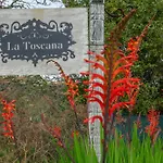 Toscana Di Corvo Moya (Gran Canaria)